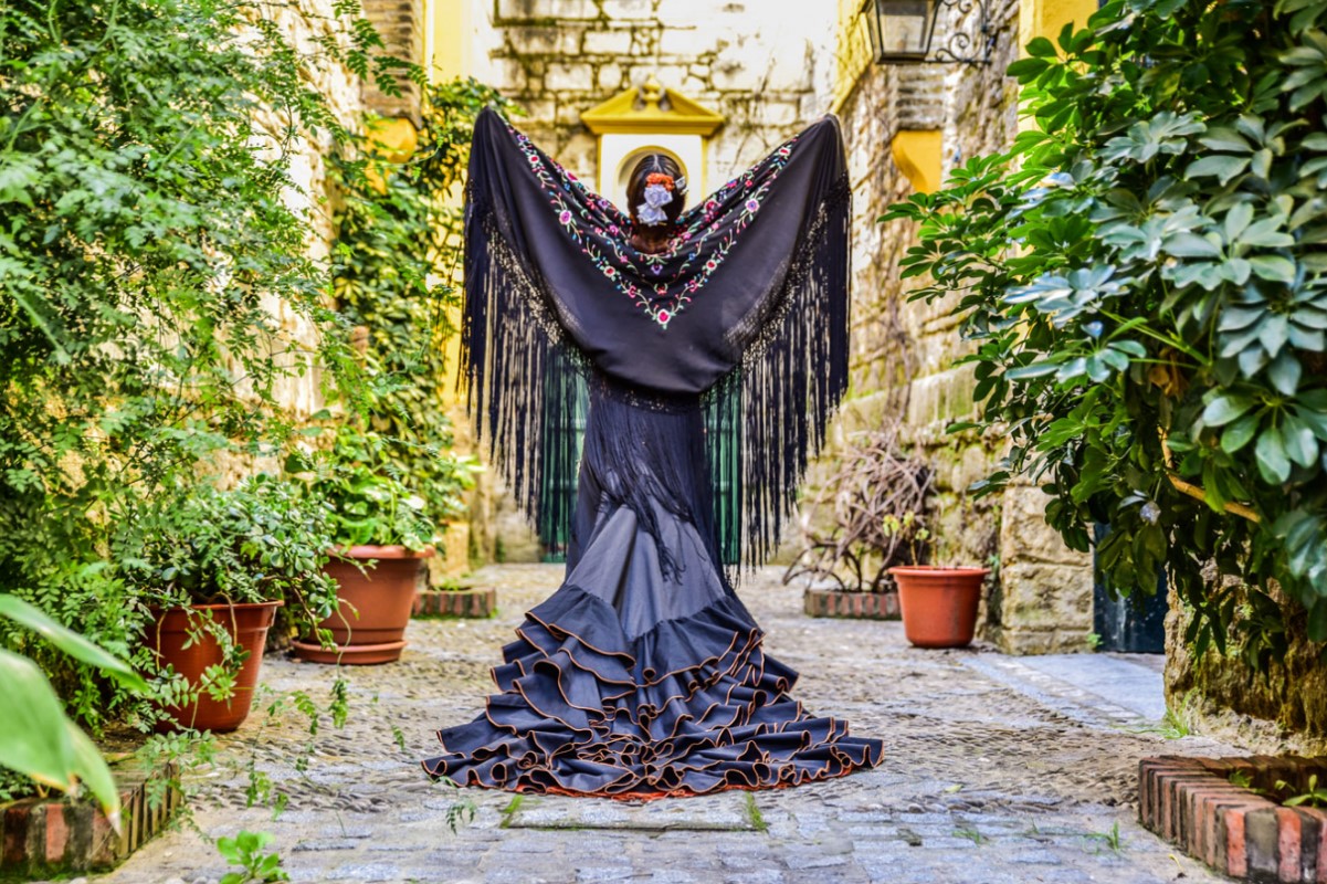 Puro arte tablao flamenco - Jerez