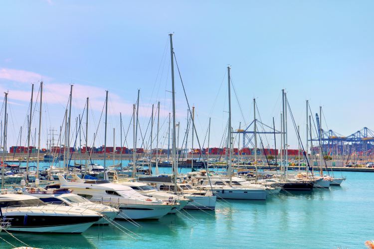 Salidas en barco Valencia