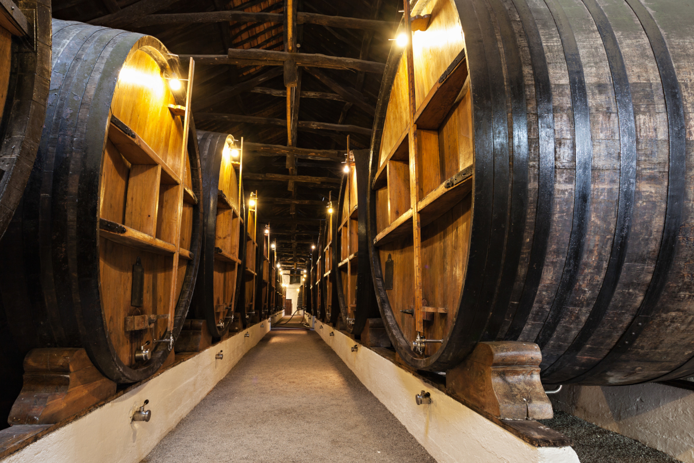 BODEGAS